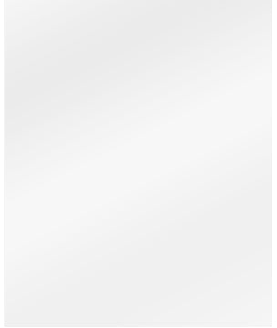 Mobilize Clear 2-Pack Screen Protector Motorola Moto G 5G