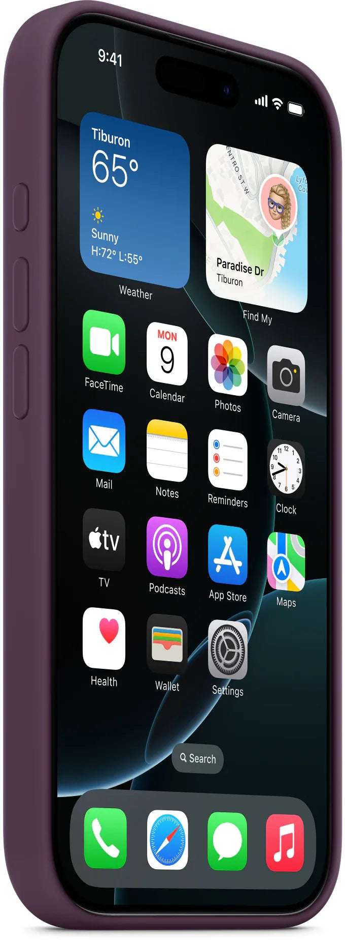 Apple Silicone Case With Magsafe Iphone 16 Pro Plum - Essentify