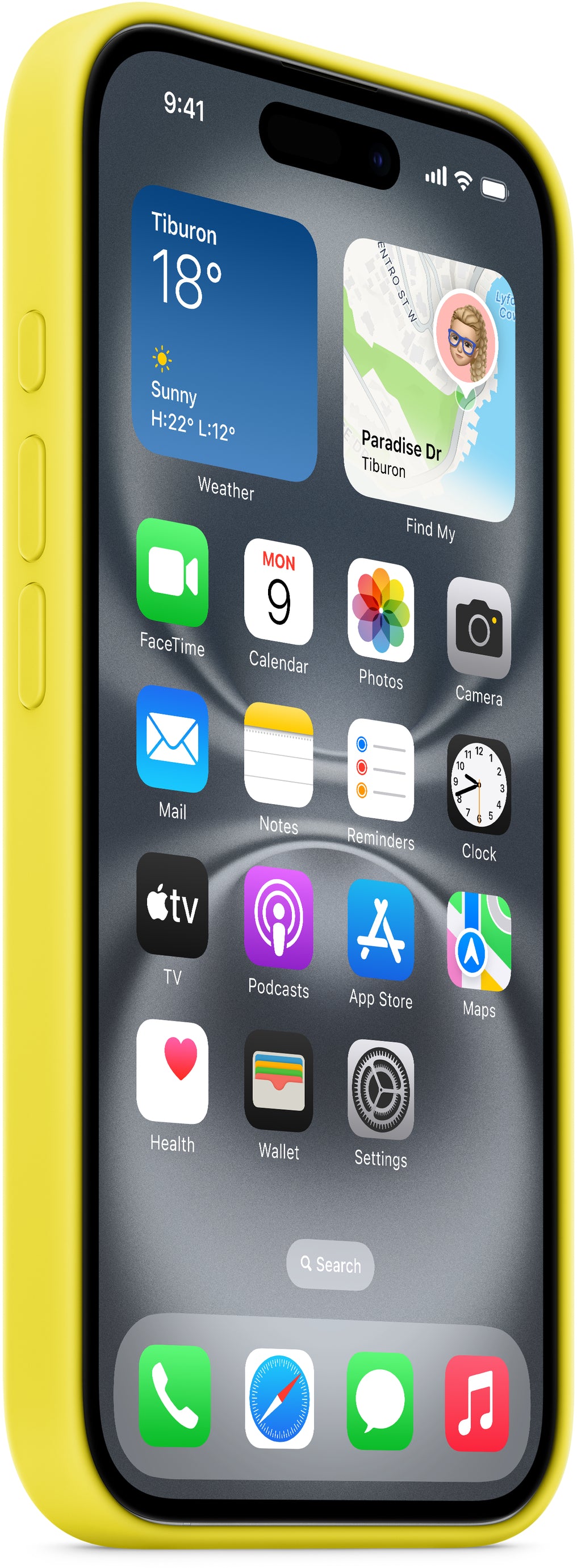 Apple Myyg3Zm/A Apple Silicone Case With Magsafe Iphone 16 Plus Starfruit