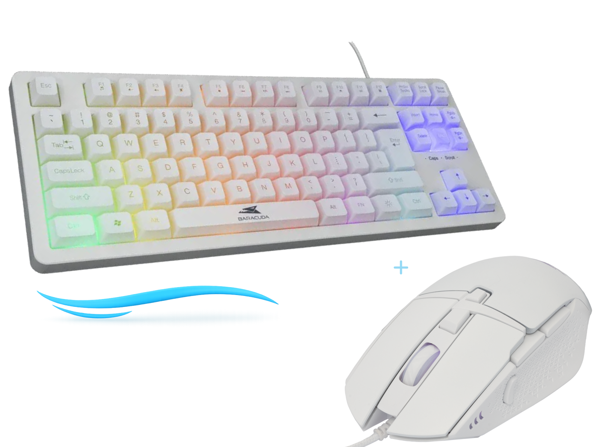 Budget Gaming Bundle – Pro | Gaming Keyboard + Muis (Baracuda Krill & Raptor)